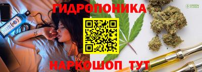 мяу мяу кристалл Аша