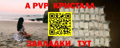 ешки Бердск