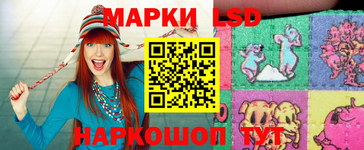 Наркотические марки 1,8мг  Наркотические марки 1,8мг  Вход с VPN  Нарткала 