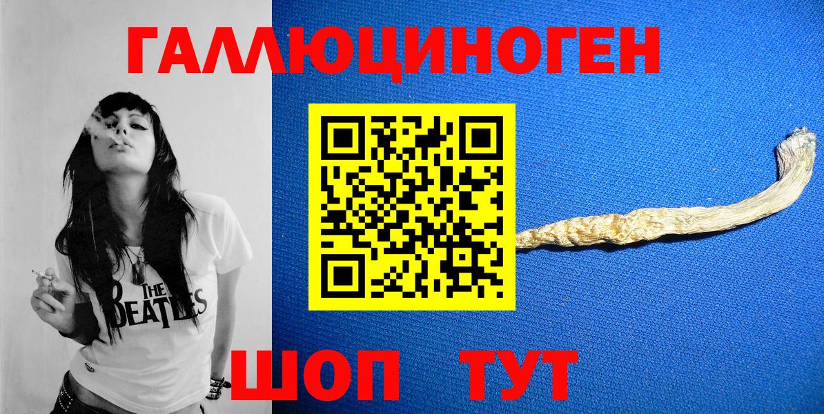 Нарткала  Псилоцибиновые грибы Cubensis  Вход с VPN 